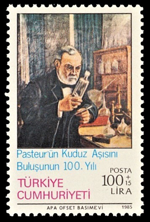 kuduz