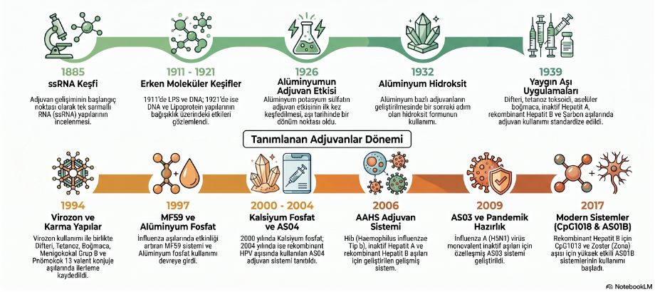 Adjuvanların tarihsel gelişimi