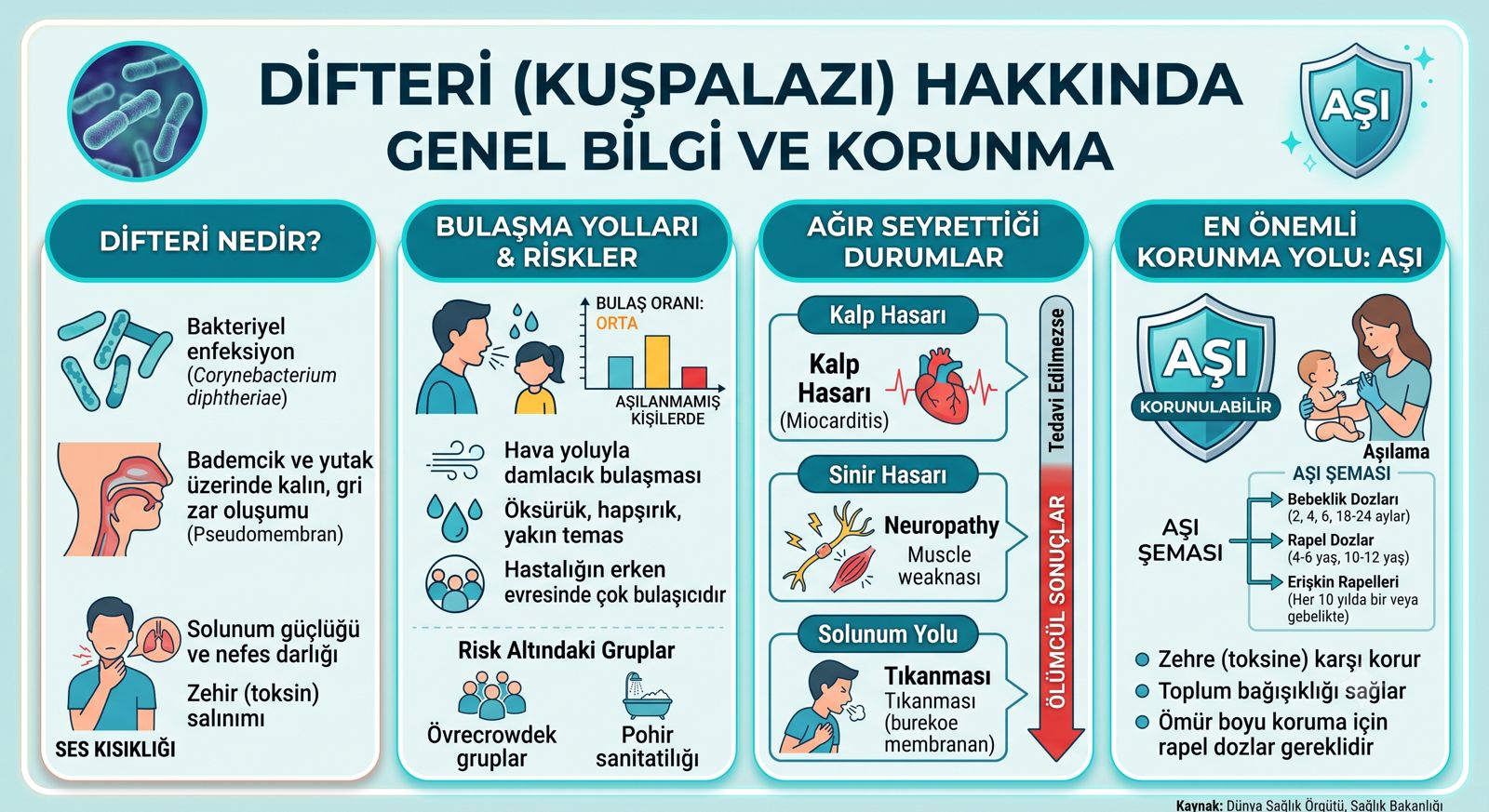 Difteri Genel Görsel Özet