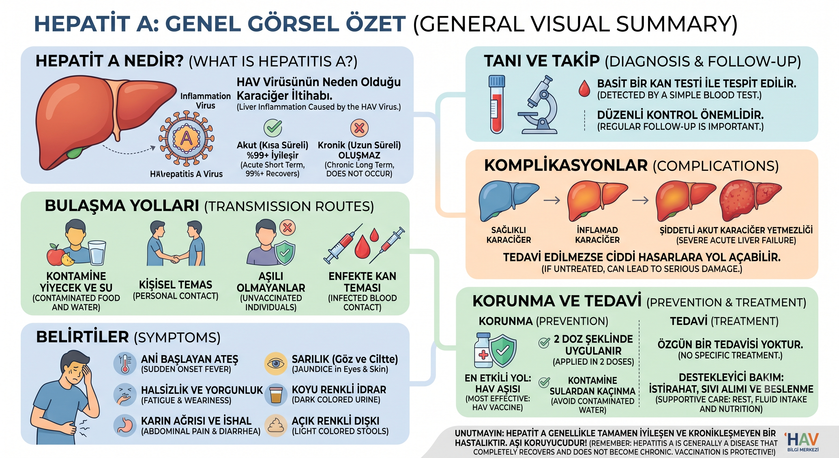 Hepatit A Genel Görsel Özet