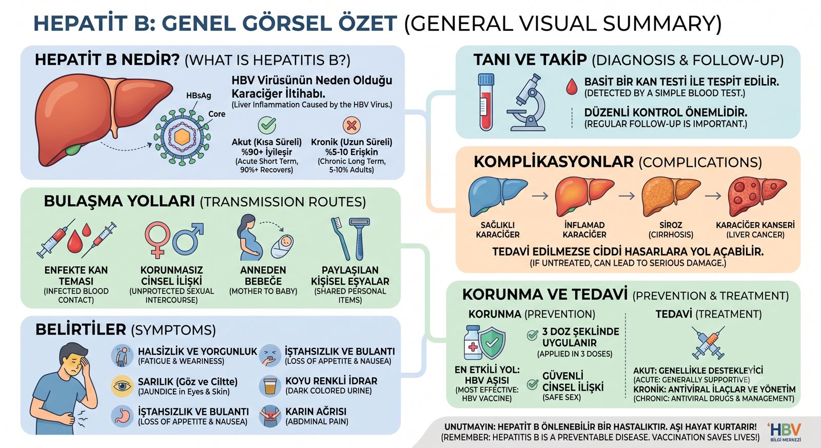 Hepatit A Genel Görsel Özet