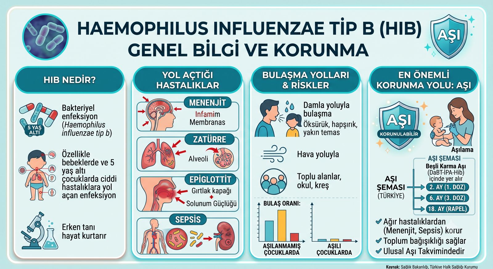 Haemophilus influenzae Tip b Genel Görsel Özet