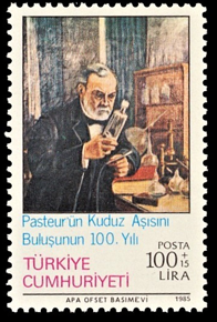 kuduz