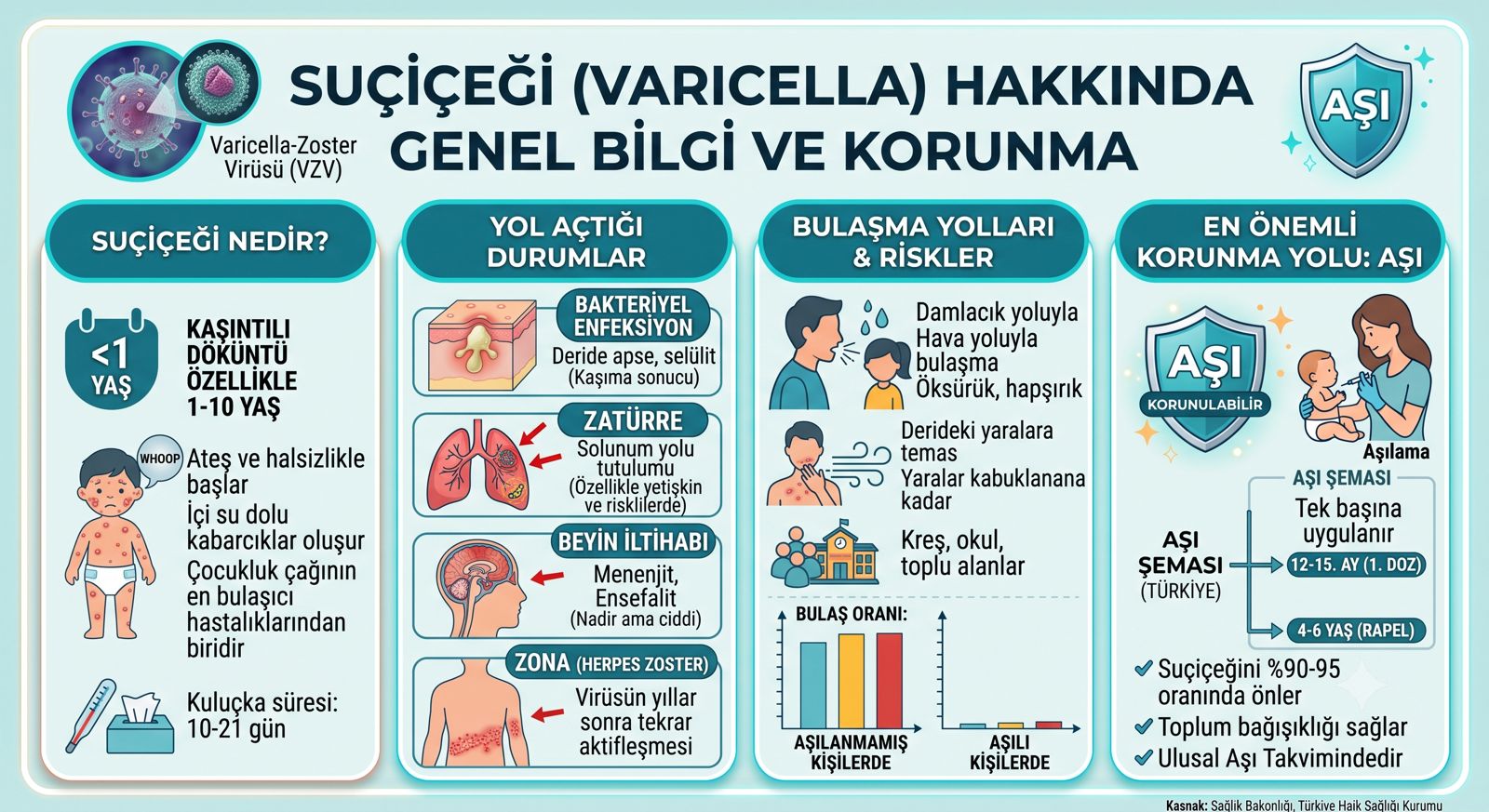 Suçiçeği Genel Görsel Özet